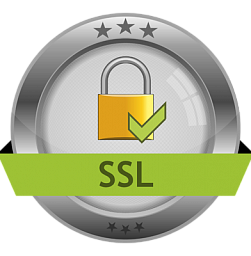Теперь наш сайт под защитой SSL
